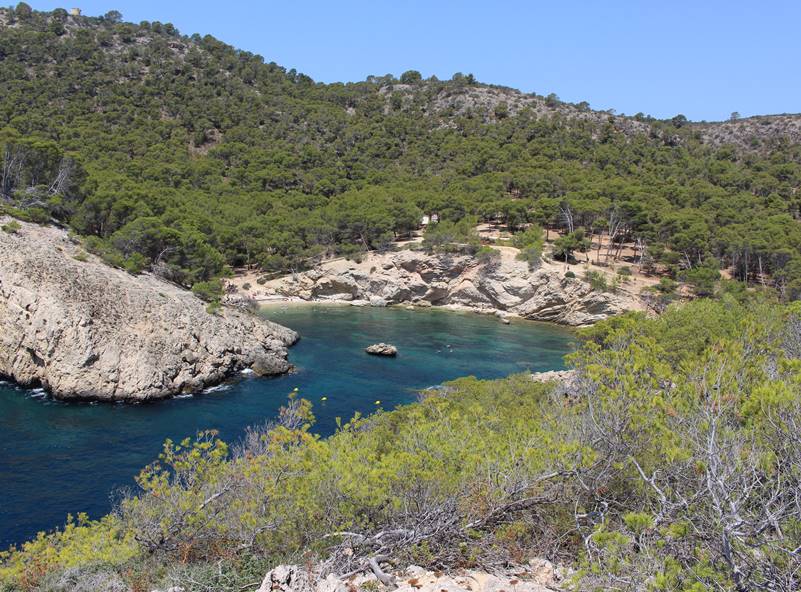 La playa Caló des Monjo en Mallorca Tourist Guide